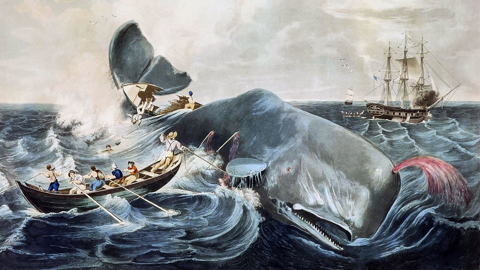 1851 Moby Dick Makes its Debut in the United States