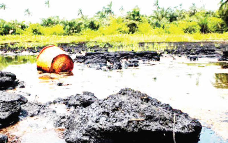 Group tackles FG on $1bn Ogoni clean-up