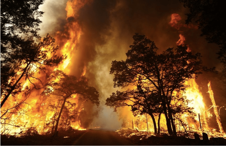 2009 The Black Saturday bushfires in Australia kill 173 people