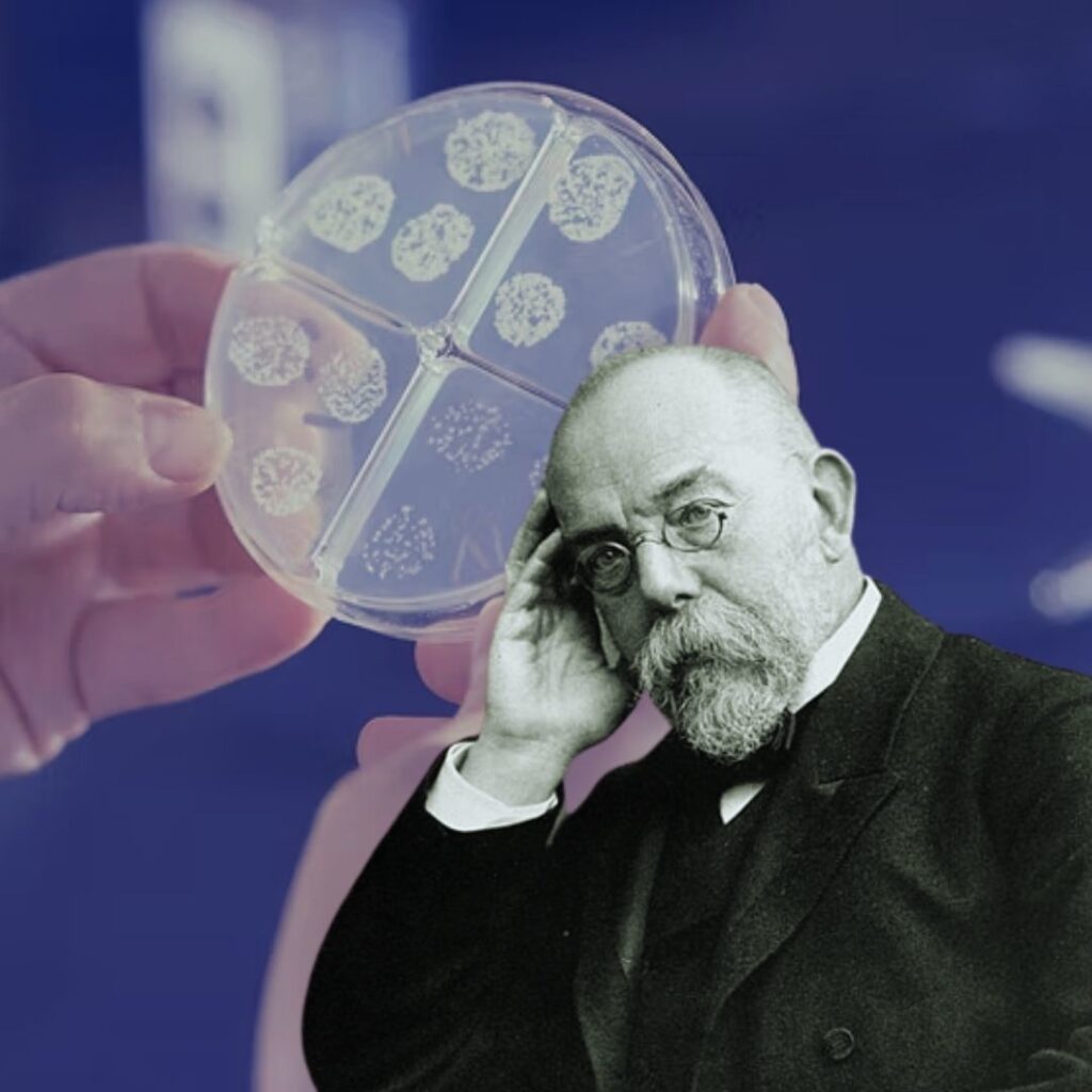 1882 Robert Koch discovers the bacterium responsible for tuberculosis