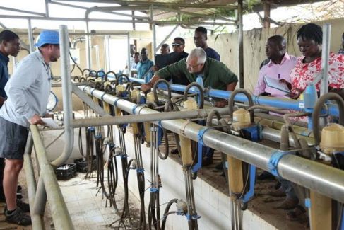 Dairy Farm Reaffirms Commitment to Boosting Local Milk Production