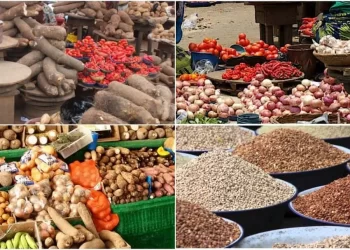 NBS Report Reveals Over 300% Increase in Key Food Prices: Tomatoes, Beans, and Garri Hit Record Highs