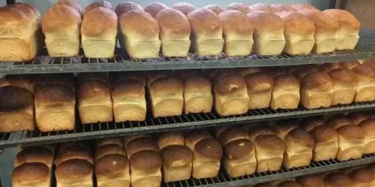 Scarcity of bread in kanu, Kaduna and kastina