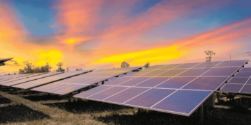 4 green energy startups win N20m DBN seed funding