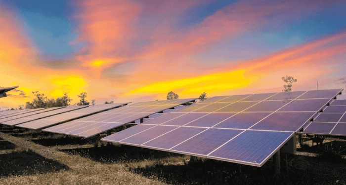 4 green energy startups win N20m DBN seed funding