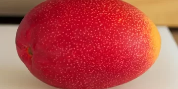 5 most expensive fruits in the world
