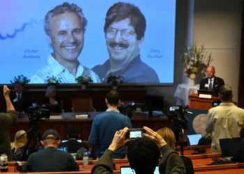 US Scientists Awarded Nobel Prize For Groundbreaking Gene Regulation Discovery