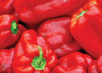 5 Nigerian foods you can export to US, UK, Canada