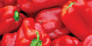 5 Nigerian foods you can export to US, UK, Canada