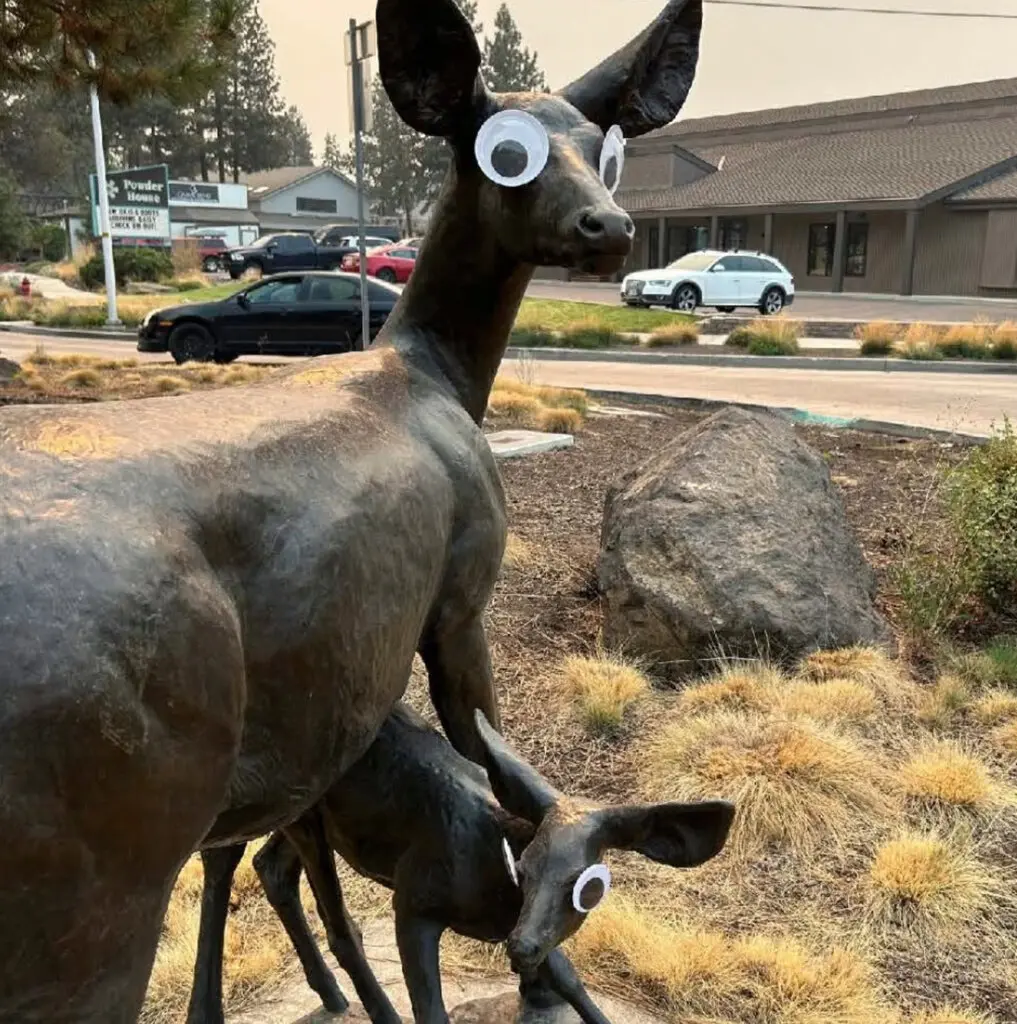 Googly Eyes on Sculptures Catch Residents' Attention in Oregon City