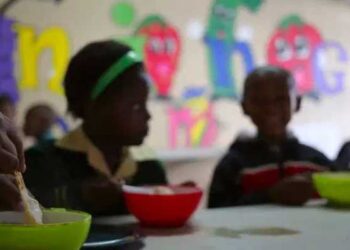 African Countries with Food Security: Top 5