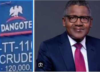 How Dangote Refinery is affecting European markets – OPEC