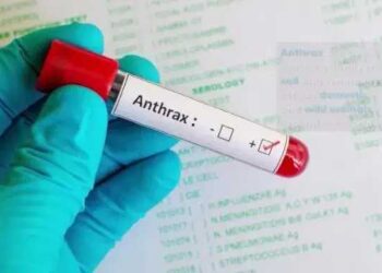 FG alerts public to Anthrax outbreak in Zamfara
