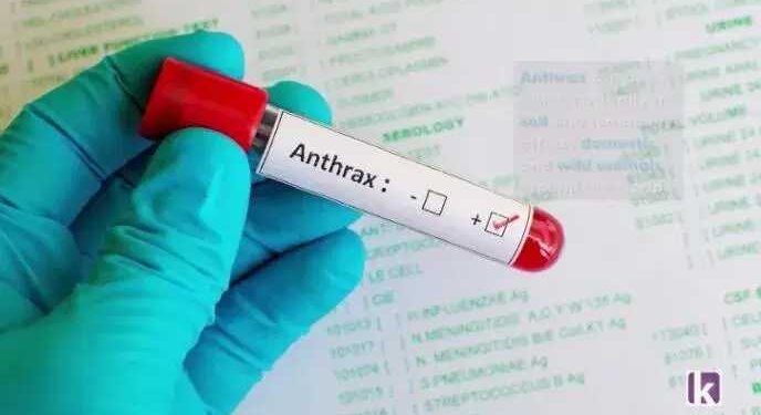 FG alerts public to Anthrax outbreak in Zamfara