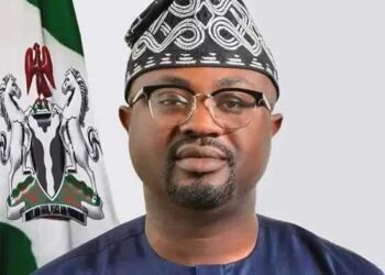 Visa applications to go online before March 1 – FG