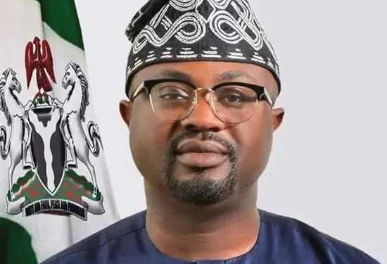 Visa applications to go online before March 1 – FG