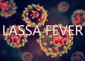 Lassa fever: Nigeria reports 10 deaths, 54 confirmed cases