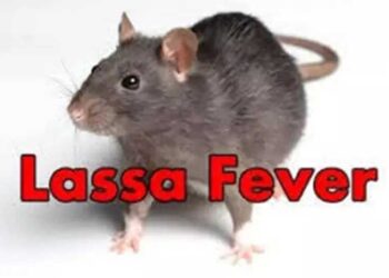 New Lassa fever outbreak in Edo, government urges vigilance