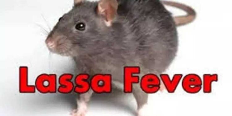 New Lassa fever outbreak in Edo, government urges vigilance