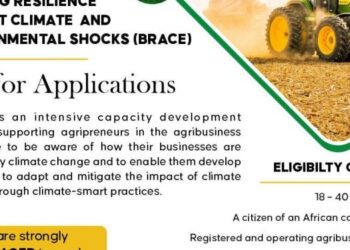 BRACE Program Cohort 3, Batch 1 for African Agri-SMEs