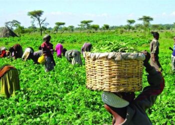 2025 Budget: Federal Government Allocates ₦132bn to Support Farmers