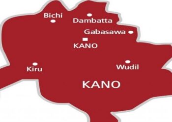 Kano Partners with Firm on $15M Custom Gas Supply Deal