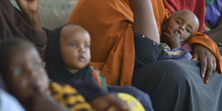 UNICEF Raises Alarm: Economic Crisis Drives Malnutrition in 5.4 Million Children