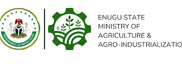 Enugu Empowers 50 Farmers with Training in Computer Skills and Digital Bookkeeping