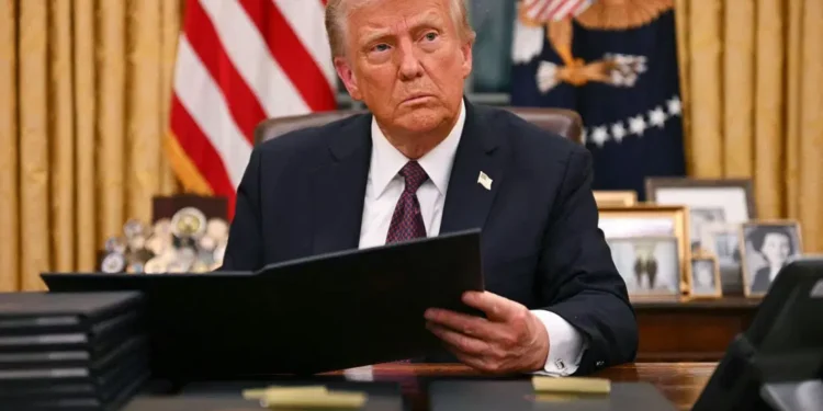 Nigerians in Diaspora Oppose Birthright Citizenship, Deem It Illegal