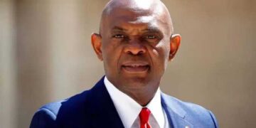 Tony Elumelu canvases support for young African entrepreneurs