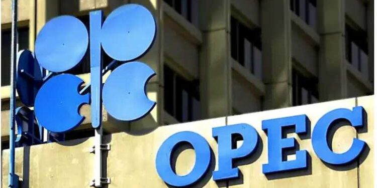 OPEC downgrades 2025 forecast for US oil