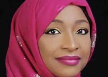 Netflix: NFVCB boss leads Musawa’s delegation to Amsterdam