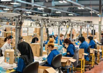 5 Countries with the Highest Female Employment