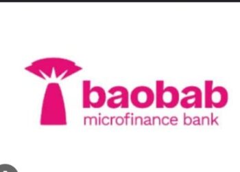 Baobab Nigeria Distributes ₦500 Billion in Loans to MSMEs