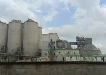 Nigerian Senators Discuss Sale of Nation’s Third-Largest Cement Firm to Chinese Company