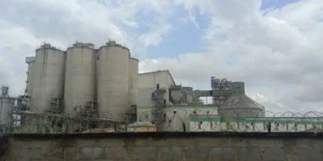 Nigerian Senators Discuss Sale of Nation’s Third-Largest Cement Firm to Chinese Company