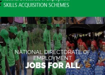 Applications Open for National Directorate of Employment (NDE) Skill Acquisition Program