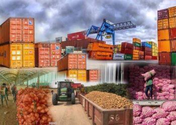 From Crude Oil to Cocoa: Nigeria’s Major Export Commodities in Q4 2024