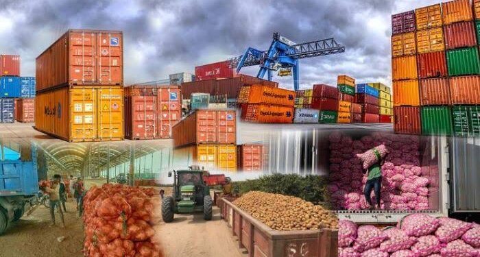 From Crude Oil to Cocoa: Nigeria’s Major Export Commodities in Q4 2024
