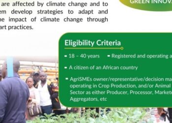 African Food Changemakers BRACE Program (Cohort 3, Batch 2) for AgriSMEs