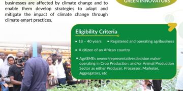 African Food Changemakers BRACE Program (Cohort 3, Batch 2) for AgriSMEs