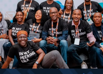 Peering Fellowship for Internet Professionals