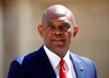 Elumelu: Stable Electricity Supply Key to Achieving $1 Trillion Nigerian Economy
