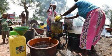 From the Classroom to the Marketplace: Meet the Woman Thriving in Nigeria’s Palm Oil Trade