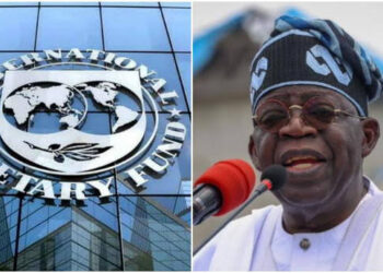 IMF Cuts Nigeria’s 2025 Economic Growth Outlook to 3.0%