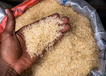 Rice Price Plummets to ₦54,000 per 50kg Bag Amid Death Rumors & Market Glut