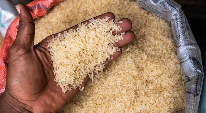 Rice Price Plummets to ₦54,000 per 50kg Bag Amid Death Rumors & Market Glut