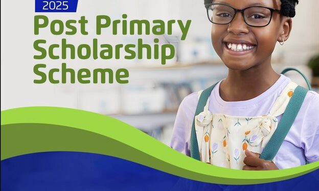 NLNG Post-Primary Scholarship Scheme 2025 for Nigerian Pupils