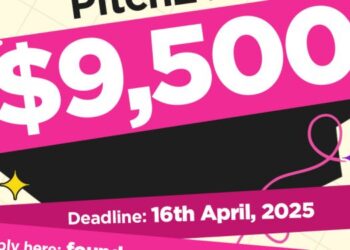 Founders Connect Launchpad for Nigerian Entrepreneurs