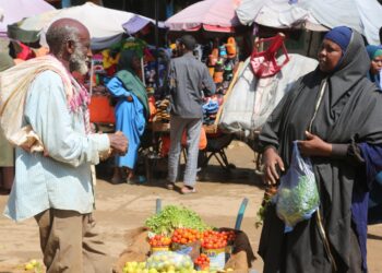 Inefficient Transport Systems Driving Up Food Prices, Worsening Hunger in Africa — World Bank